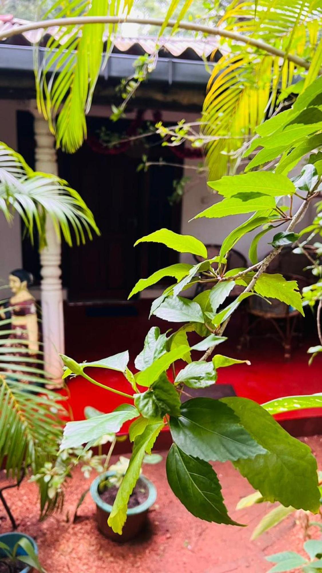 Sigiri Kp Family Home Sigiriya Eksteriør bilde